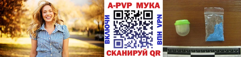 A PVP СК  Новочебоксарск 