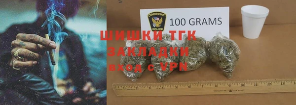 прущие грибы Вязники