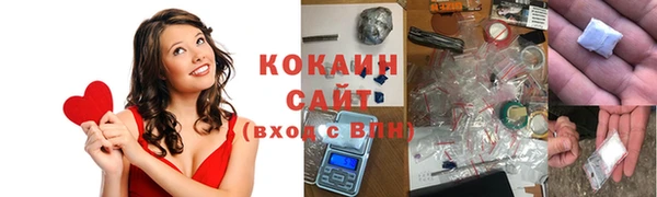 прущие грибы Вязники