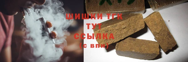 прущие грибы Вязники