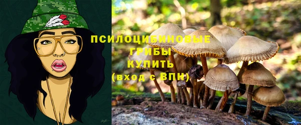 a pvp Волоколамск