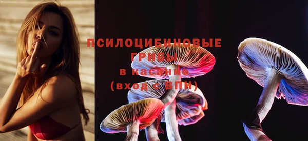 прущие грибы Вязники